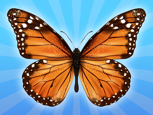 MergeButerfly: 2048!